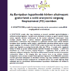 Az Európában legszélesebb körben alkalmazott gyakorlatok a szőlő aranyszínű sárgaság fitoplazmával (FD) szemben
